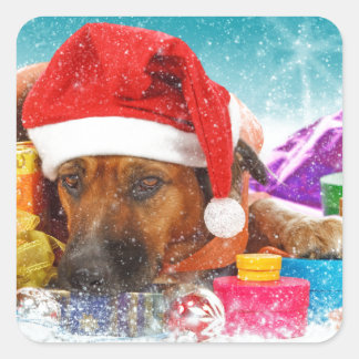 Dog is waiting for Christmas Square Sticker