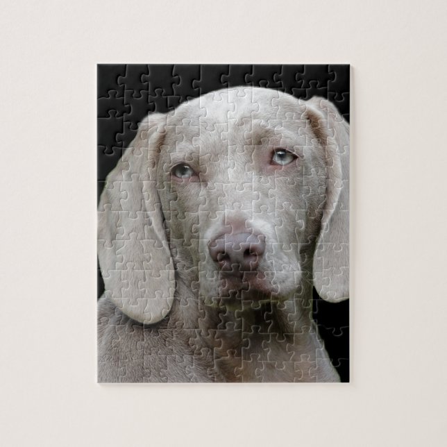 dog jigsaw puzzle (Vertical)