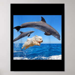 Dog Jump With Dolphin For Men Women Poster