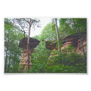 Dog Jumping from Stand Rock in Wisconsin Dells Photo Print