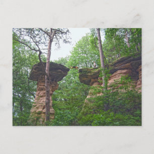 Dog Jumping from Stand Rock in Wisconsin Dells Postcard