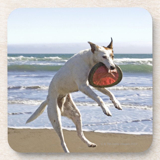 Dog jumping to catch a frisbee on beach coaster (Front)