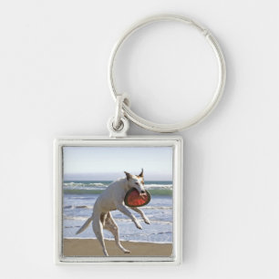 Dog jumping to catch a frisbee on beach key ring
