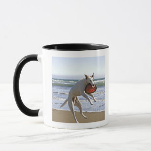 Dog jumping to catch a frisbee on beach mug