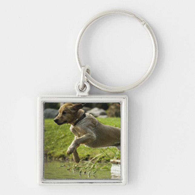 Dog jumps into pond key ring (Front)