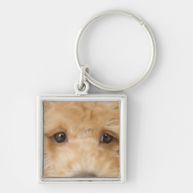 Dog Key Ring (Front)