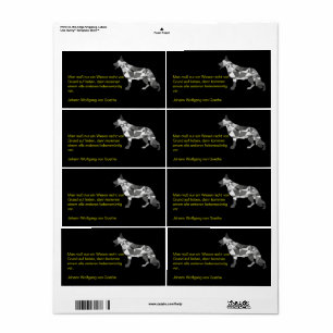 Dog Labels