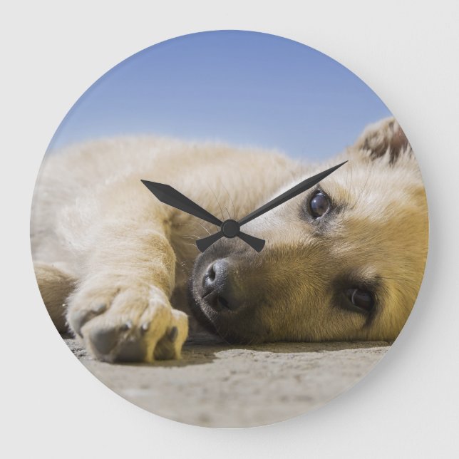 dog large clock (Front)