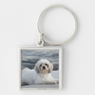 Dog laying by the water key ring