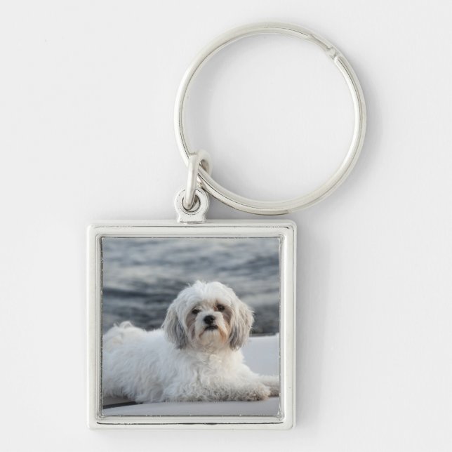 Dog laying by the water key ring (Front)