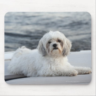 Dog laying by the water mouse mat