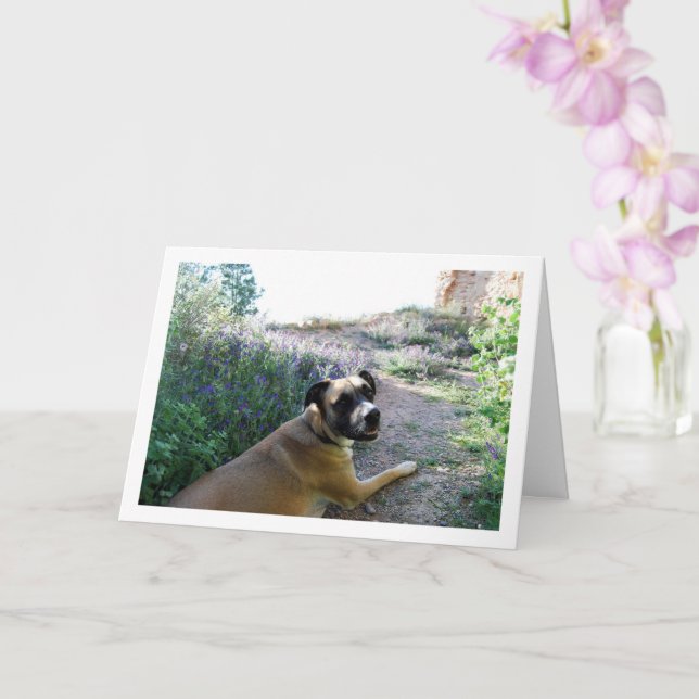 Dog Laying in Wildflowers Portrait Card (Orchid)