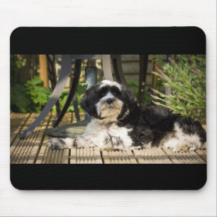 Dog laying on decking in the sun mouse mat