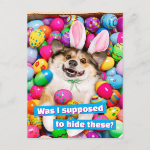 Dog Laying on Easter Eggs Invitation Postcard