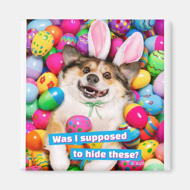Dog Laying on Easter Eggs Magnet (Front)