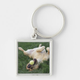 Dog laying upside down in grass with tennis ball key ring