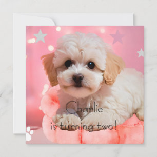 Dog Let's Party Birthday  Invitation