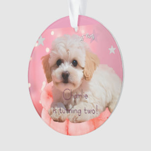 Dog Let's Party Birthday Ornament