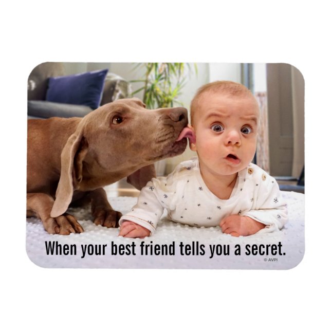 Dog Licking Baby's Ear Magnet (Horizontal)