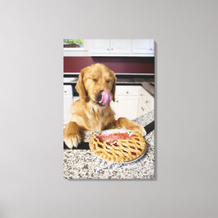 Dog licking nose after eating cherry pie in canvas print