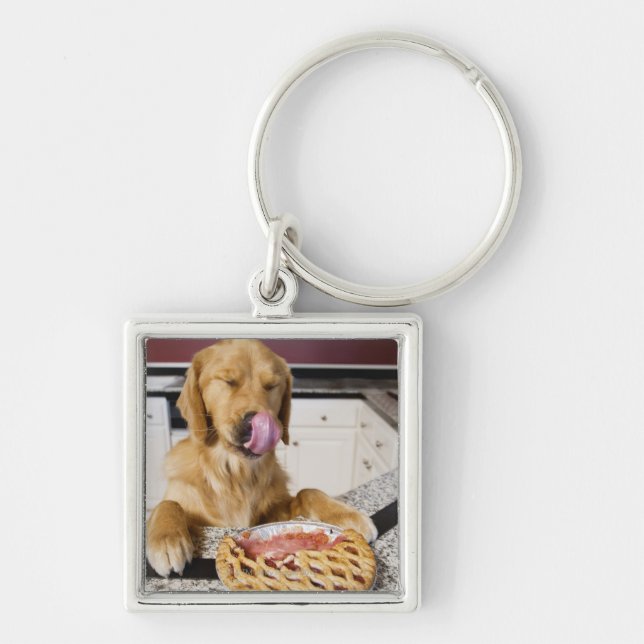 Dog licking nose after eating cherry pie in key ring (Front)