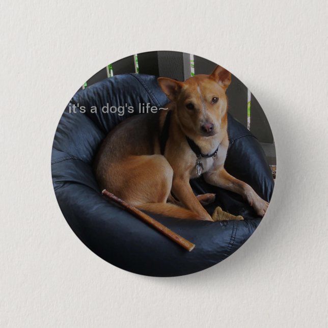 Dog life 6 cm round badge (Front)