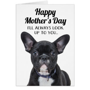 Dog Look Up To You Funny Mother's Day Card