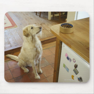 Dog looking at food on table. mouse mat