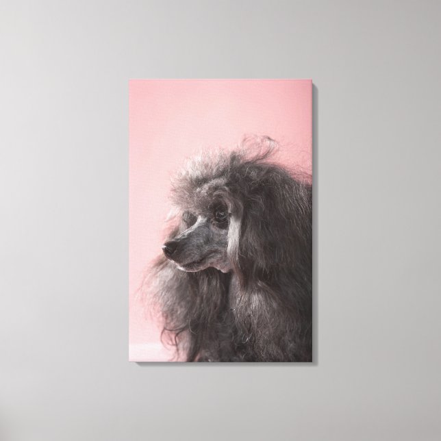 Dog looking away canvas print (Front)