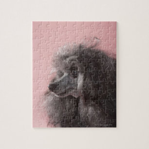 Dog looking away jigsaw puzzle