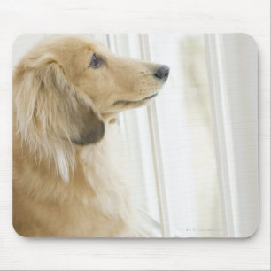 Dog looking out window mouse mat