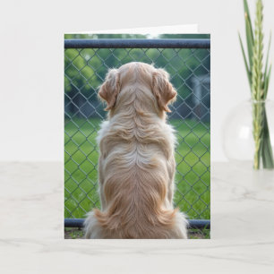 Dog Looking Through a Fence Card