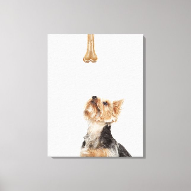 Dog looking up at bone canvas print (Front)