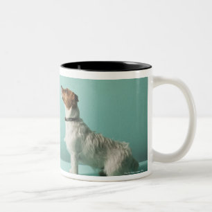 dog looking up into space Two-Tone coffee mug
