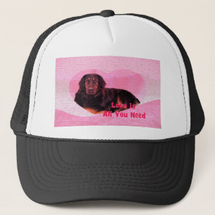 Dog Love is all you need Trucker Hat