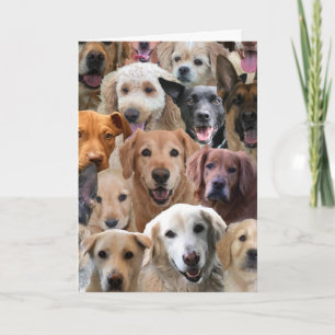 Dog Lover Birthday Card