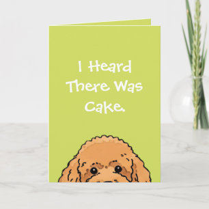 Dog Lover Birthday Card Cute Poodle design