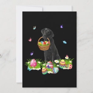 Dog Lover   Bunny Black Labrador Dog & Easter Eggs Card