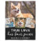 Dog Lover Custom 4 Photo Collage Pet True Love 