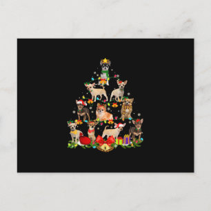 Dog Lover Gifts Chihuahua Tree Christmas Light Postcard