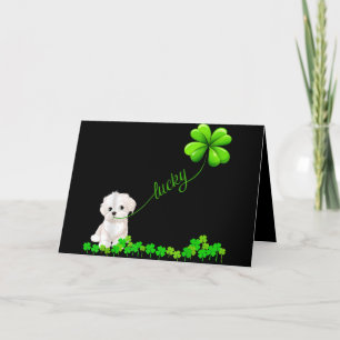 Dog Lover   Irish Shamrock Lucky With Cute Maltese Holiday Card
