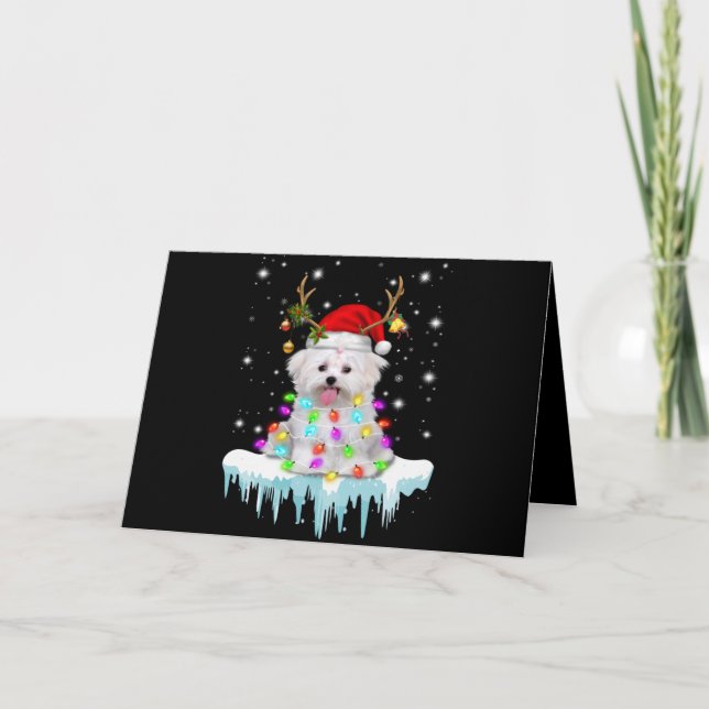 Dog Lover |Maltese Christmas Fairy Light In Winter Holiday Card (Front)