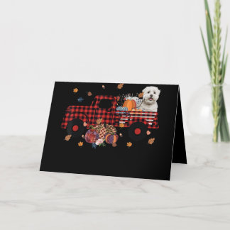 Dog Lover | Maltese Pumpkin Truck Thanksgiving Holiday Card