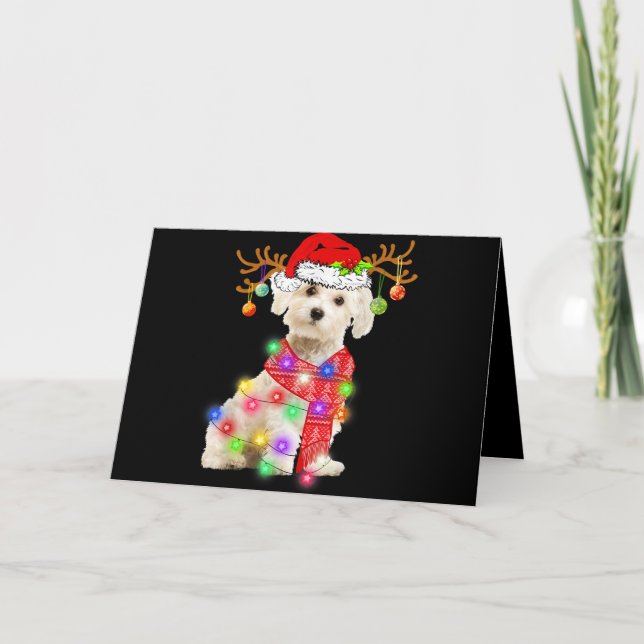 Dog Lover | Maltese Santa Hat Xmas Fairy Light Holiday Card (Front)