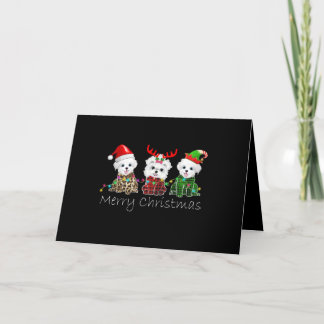 Dog Lover | Merry Christmas Maltese Holiday Card