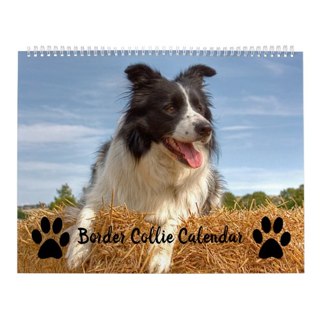 Dog Lover Mixed Border Collie Calendar (Cover)