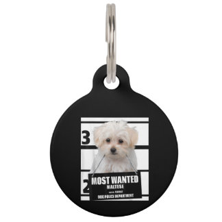 Dog Lover | Most Wanted Maltese Dog Police Pet Tag