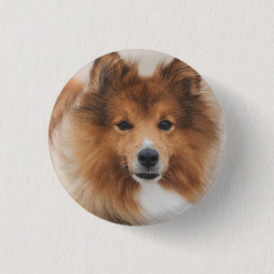 Dog Lover Personalised Pet Photo 3 Cm Round Badge