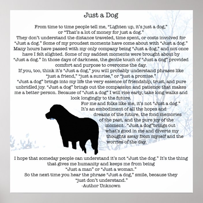 Dog Lover Quote - Best Friend - Dog Quote Poster | Zazzle.co.uk