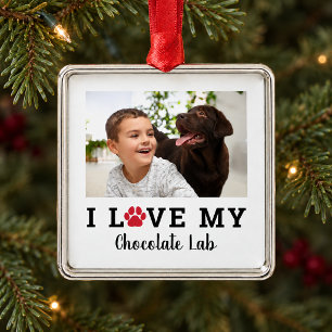 Dog Lover Red Pet Paw Print Personalised Photo Metal Tree Decoration